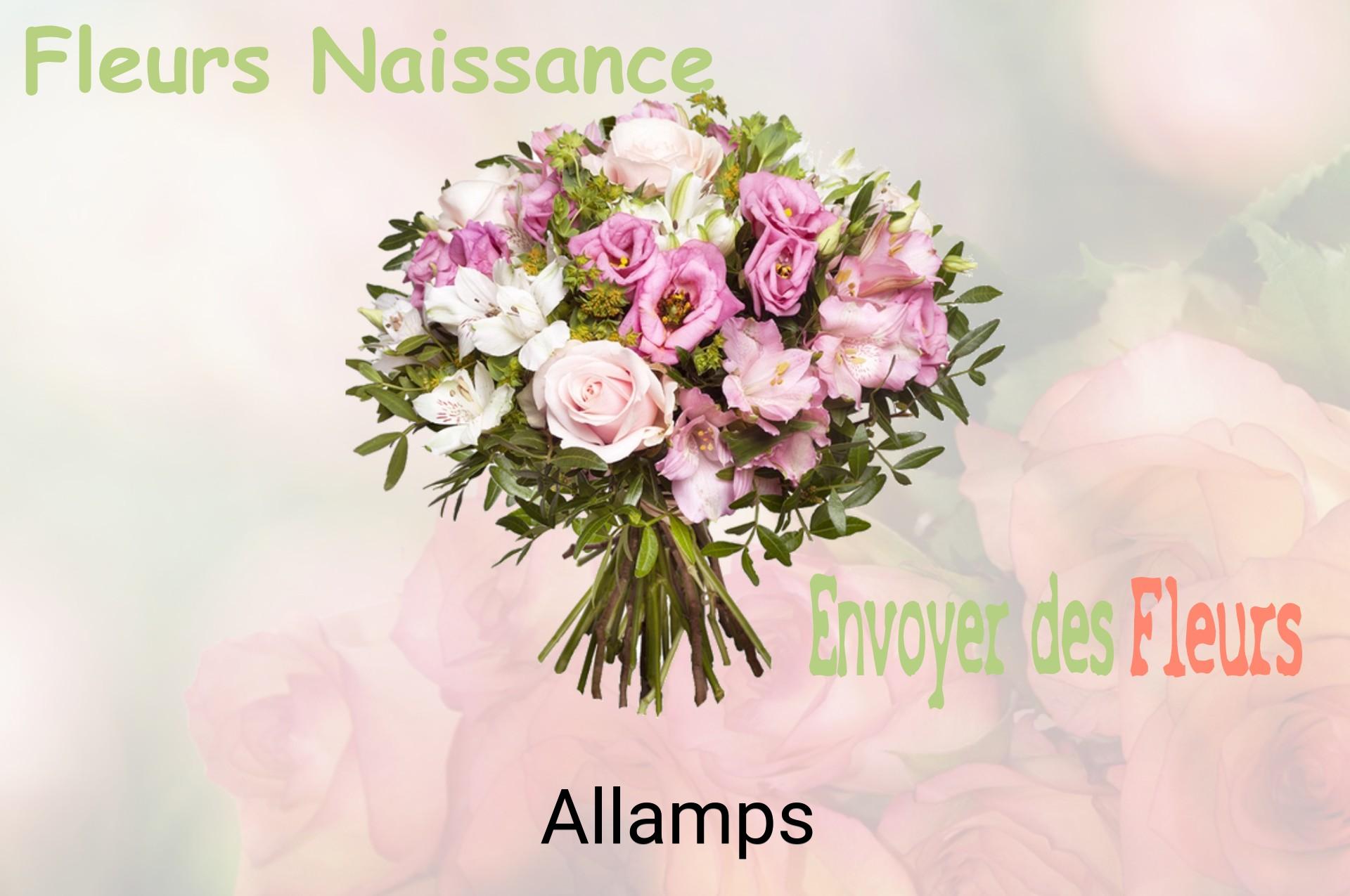 Bouquet de fleurs de naissance livré à Allamps